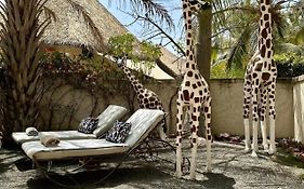 Adjana Resort - Résidence Du Port et ailleurs sur la Petite Côte